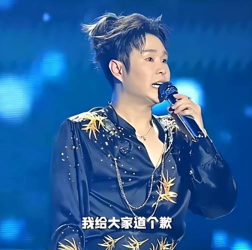 明星网红看演唱会,明星网红齐聚一堂，狂欢之夜精彩回顾